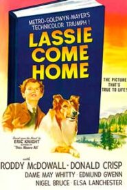Lassie: La Cadena Invisible