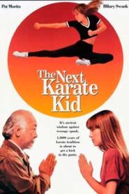 Karate Kid IV: La Nueva Aventura